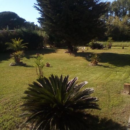 Mamena Bed & Breakfast Paestum Ngoại thất bức ảnh