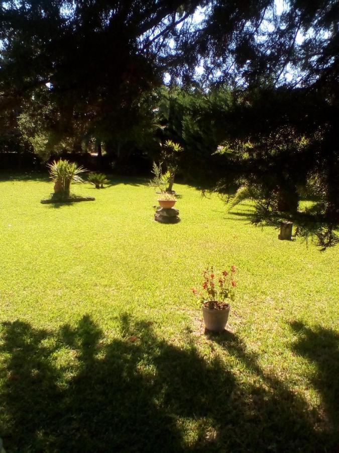 Mamena Bed & Breakfast Paestum Ngoại thất bức ảnh