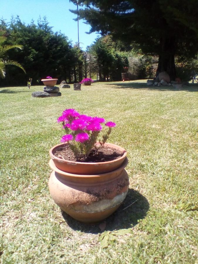 Mamena Bed & Breakfast Paestum Ngoại thất bức ảnh