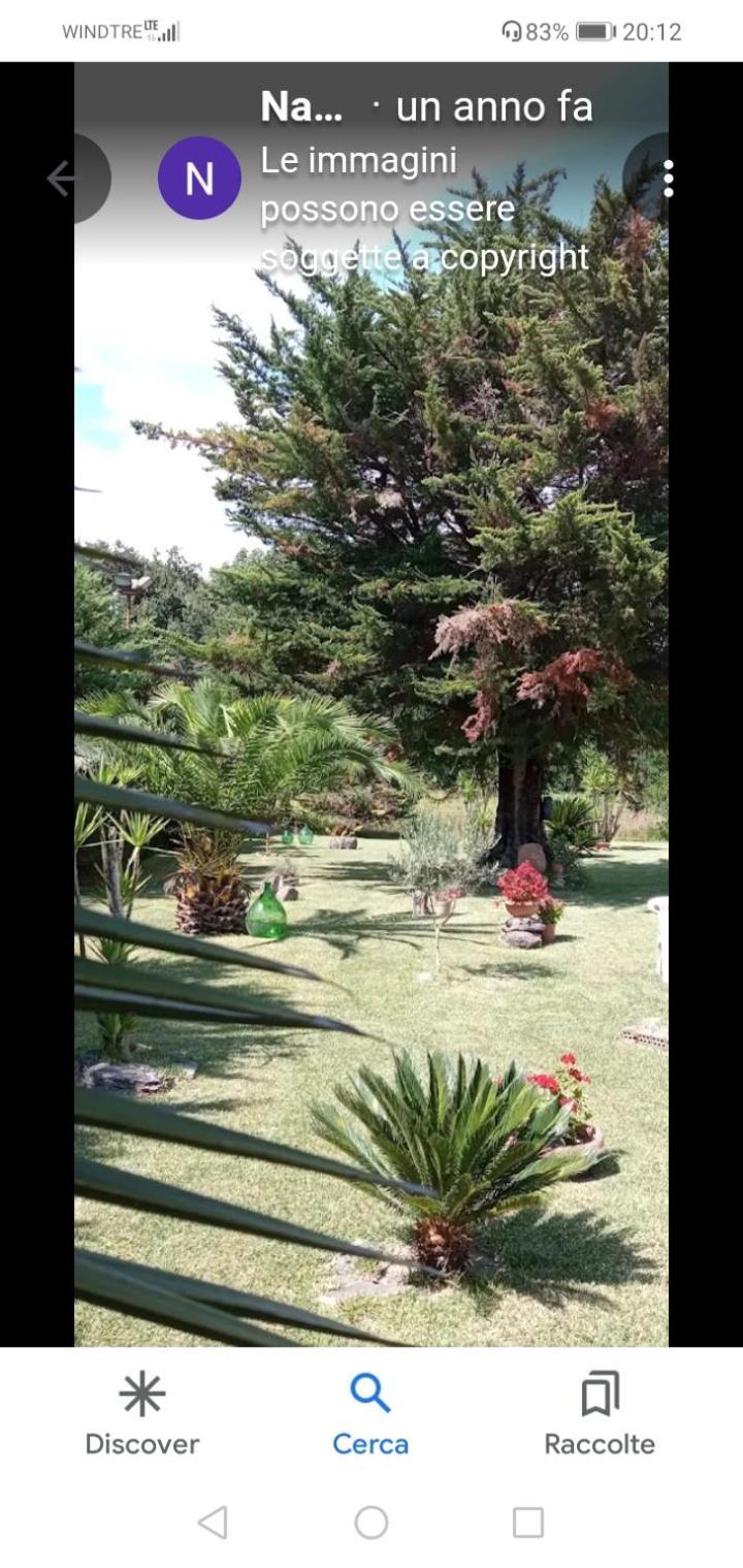 Mamena Bed & Breakfast Paestum Ngoại thất bức ảnh