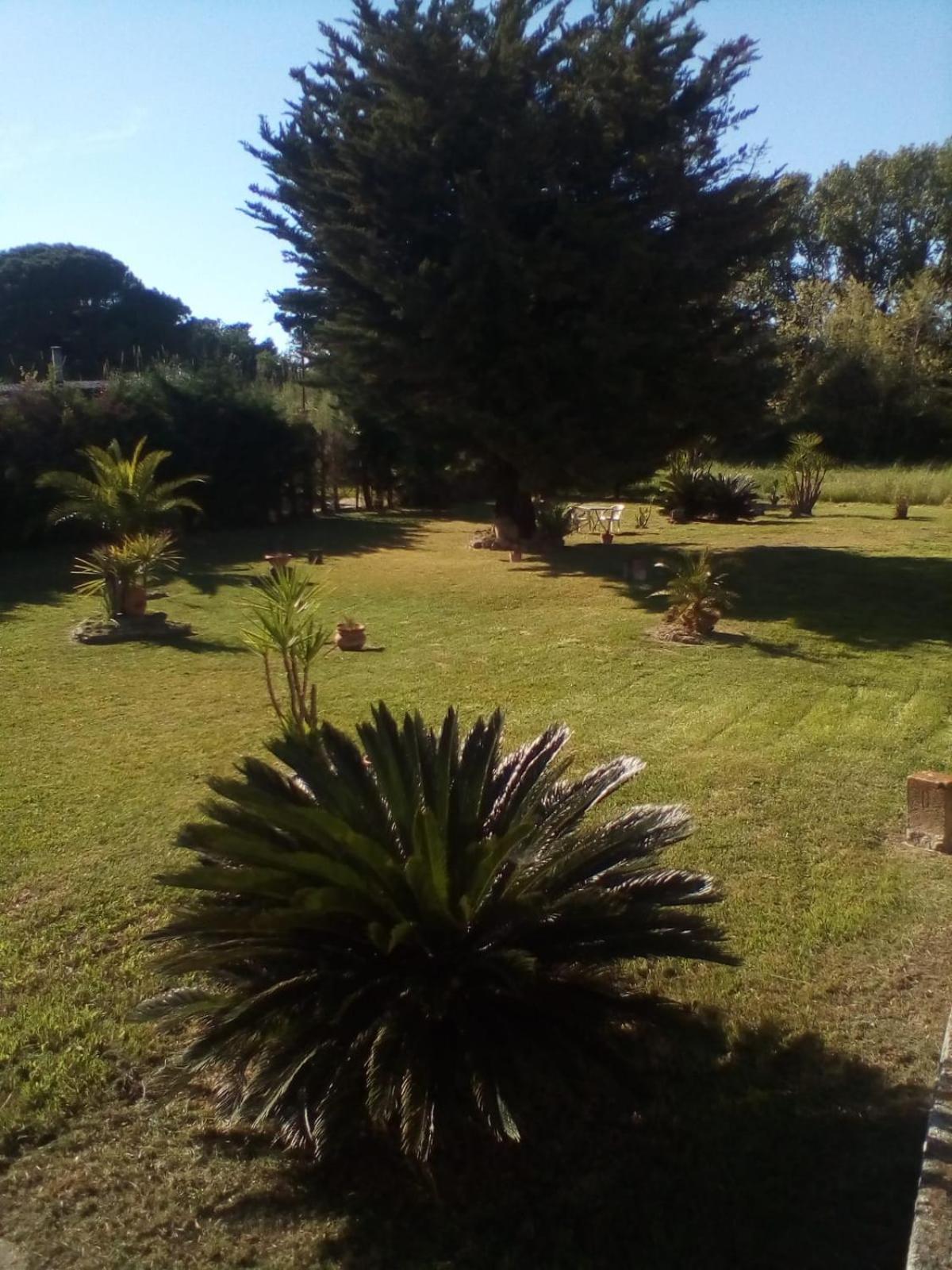 Mamena Bed & Breakfast Paestum Ngoại thất bức ảnh